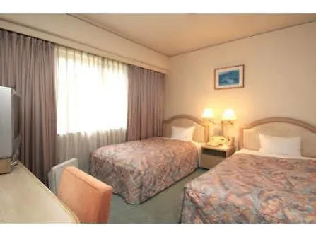 Takarazuka Washington Hotel 3*,